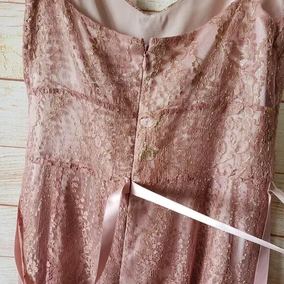 Ann Taylor Lace Metallic Ribbon Strap Dress Eyelash Lace Hem Size 6 Blush Pink - Picture 8 of 13